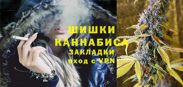 шишки Елабуга