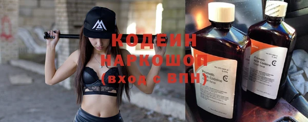 хмурый Елизово