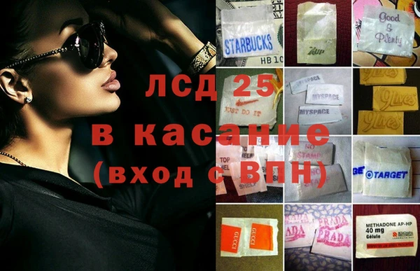 шишки Елабуга