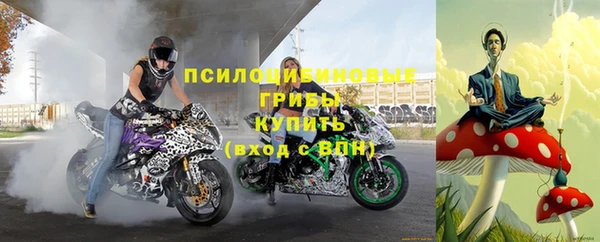 бутират Ельня