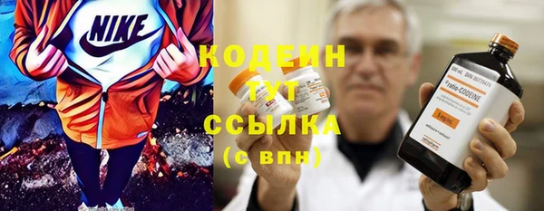 хмурый Елизово
